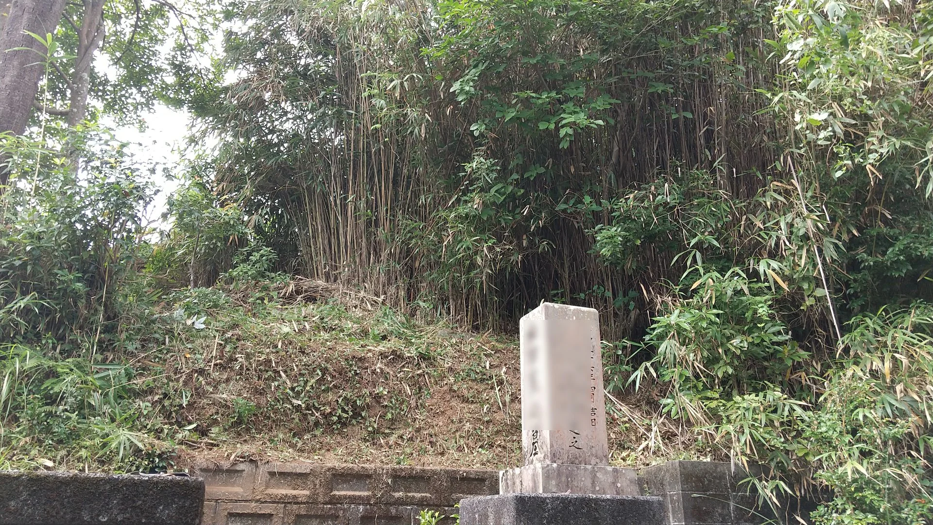 お墓の草刈りを行いました。